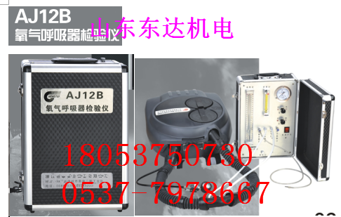 AJ12B氧气呼吸器校验仪