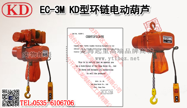 EC-3M型环链电动葫芦案例图