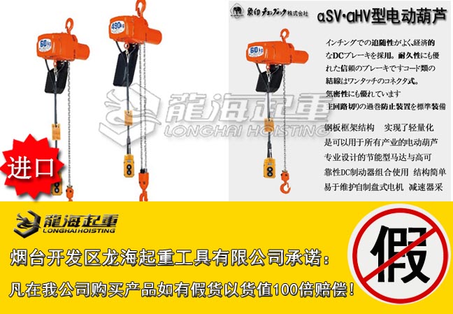 5αSV・αHV型象印电动葫芦大图