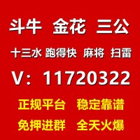 斗牛群一块一分24小时不停歇